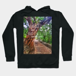 Wear gratitude like a cloak and it will feed every corner of your life Hoodie